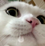202501261018420279.Png